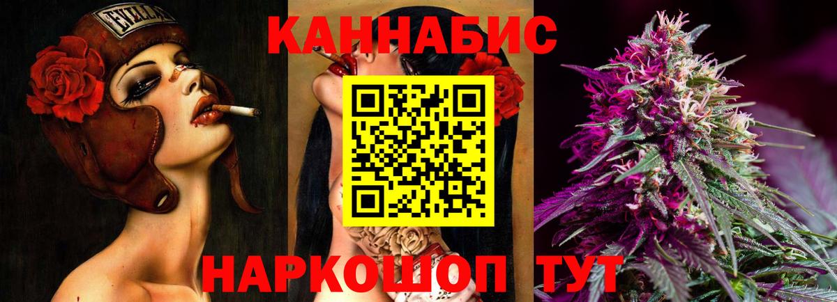 Марихуана сатива Кисловодск